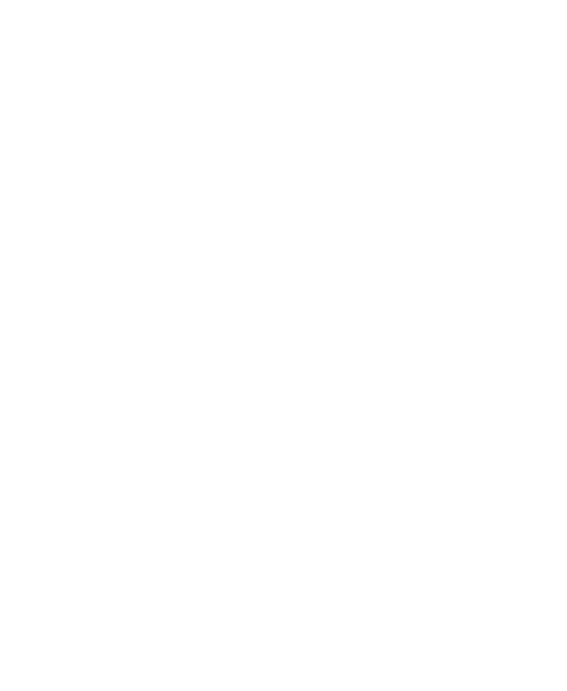 Fenix PDV